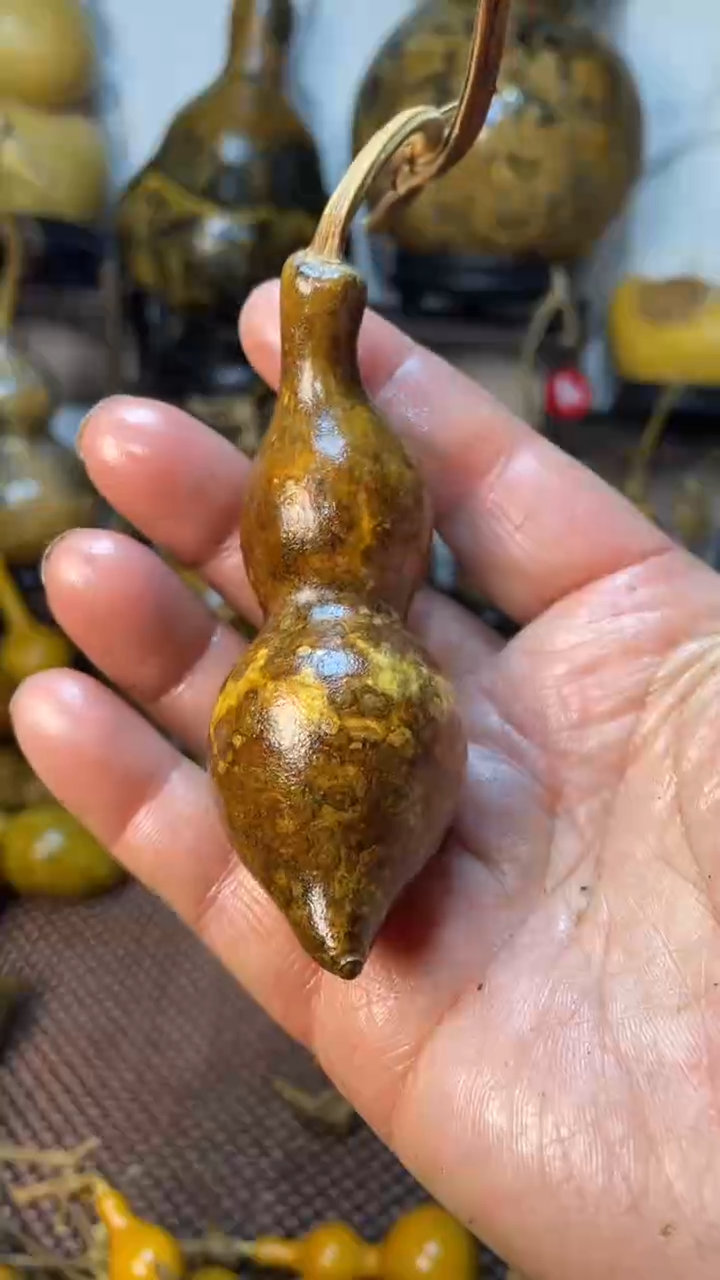 【闪购商品】葫芦葫芦葫芦葫芦