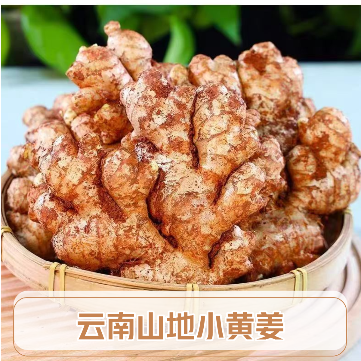 【云南山地小黄姜】新鲜老姜生姜1斤/3斤/5斤/9斤装