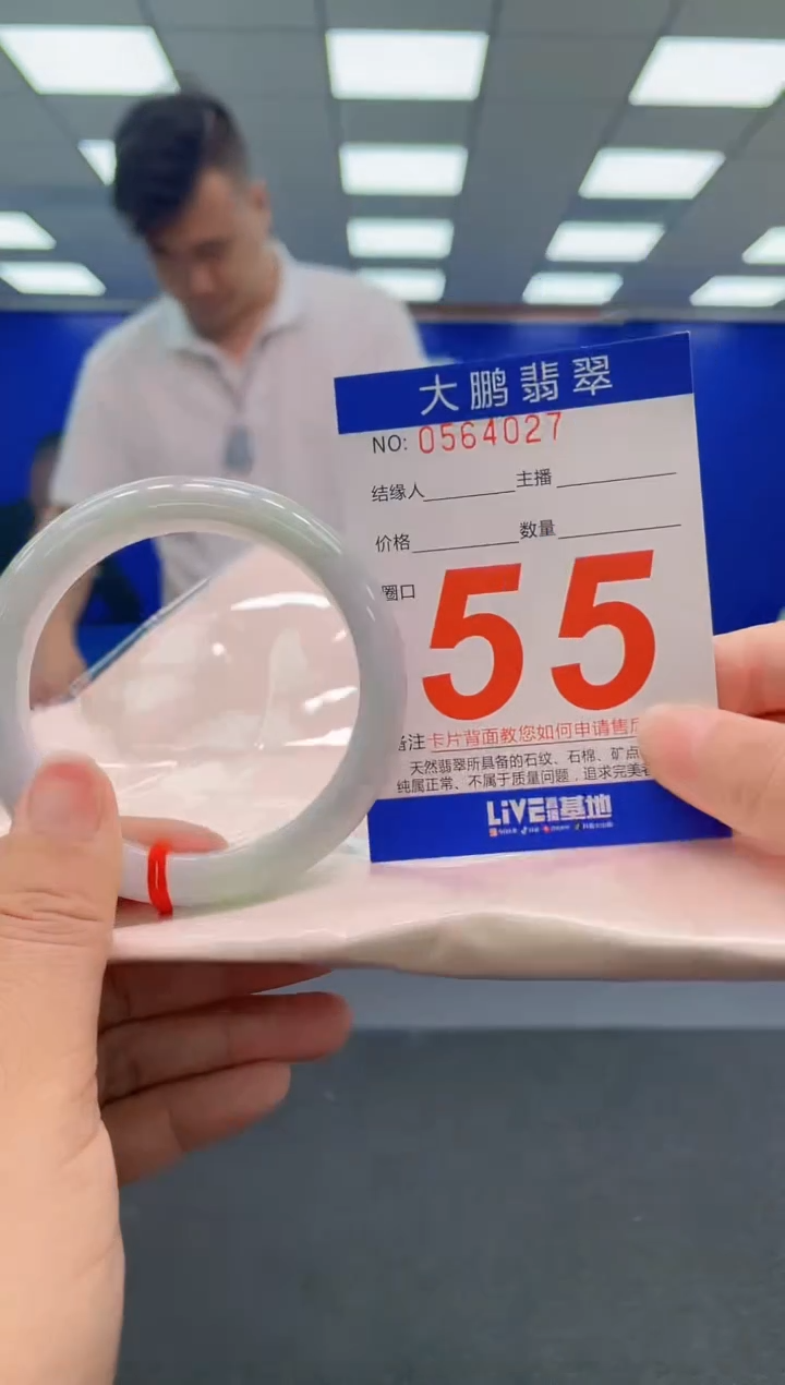 未镶嵌手镯翡翠AAAAAAAAA