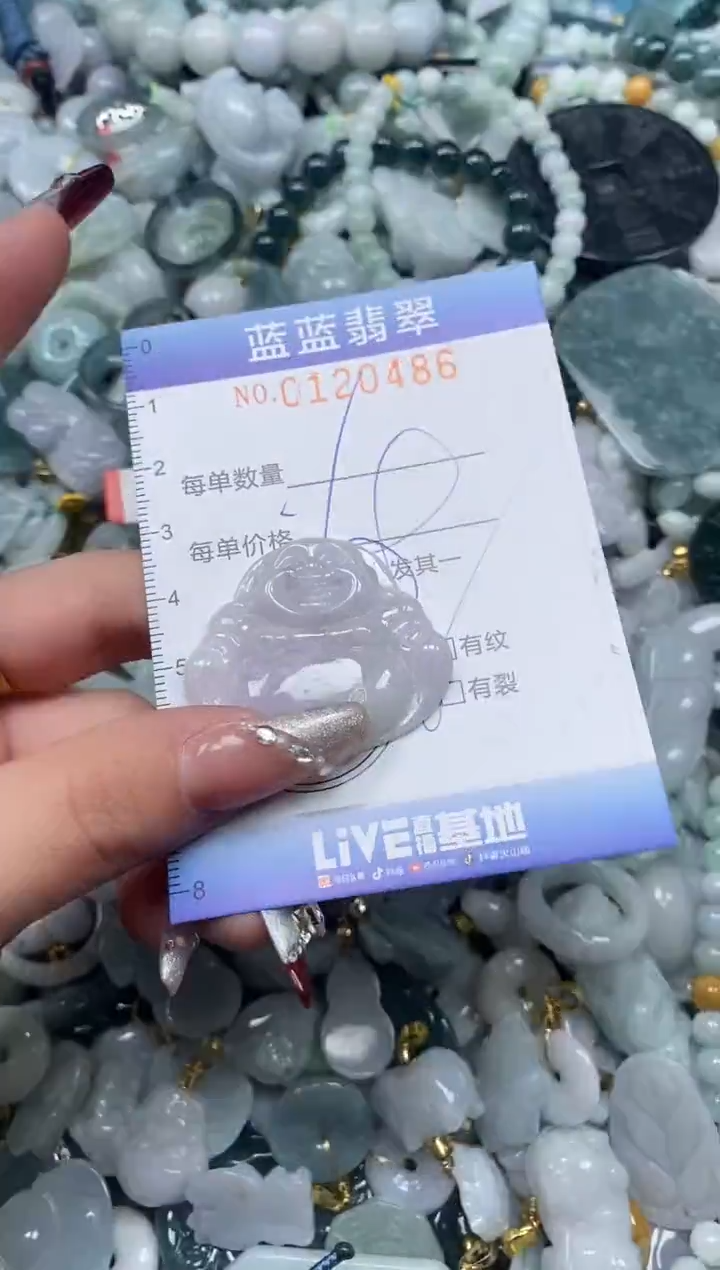 【闪购商品】翡翠颈饰未镶嵌闪购0120486