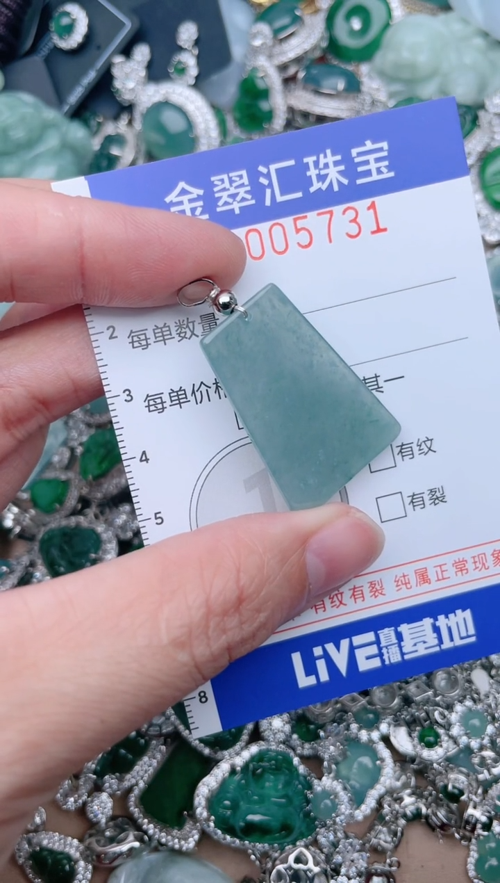 【闪购商品】翡翠颈饰未镶嵌5731......1