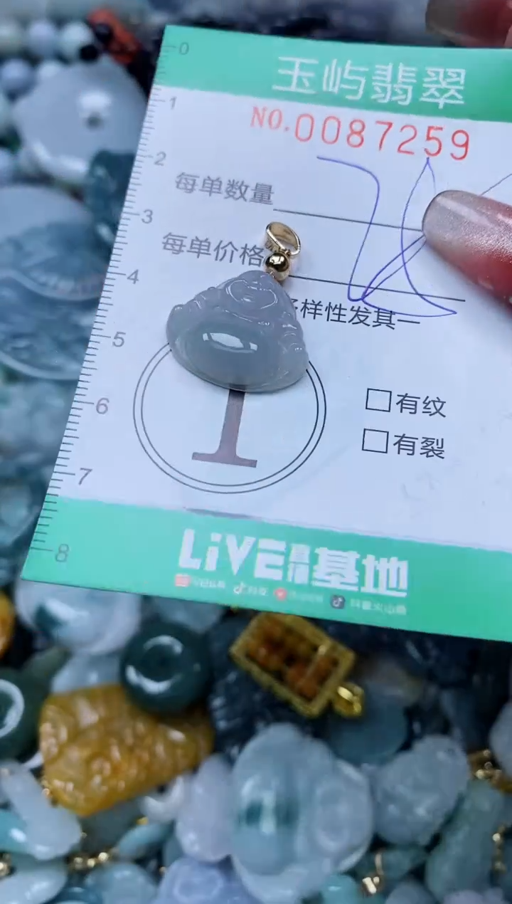 【闪购商品】翡翠颈饰未镶嵌闪购0087259