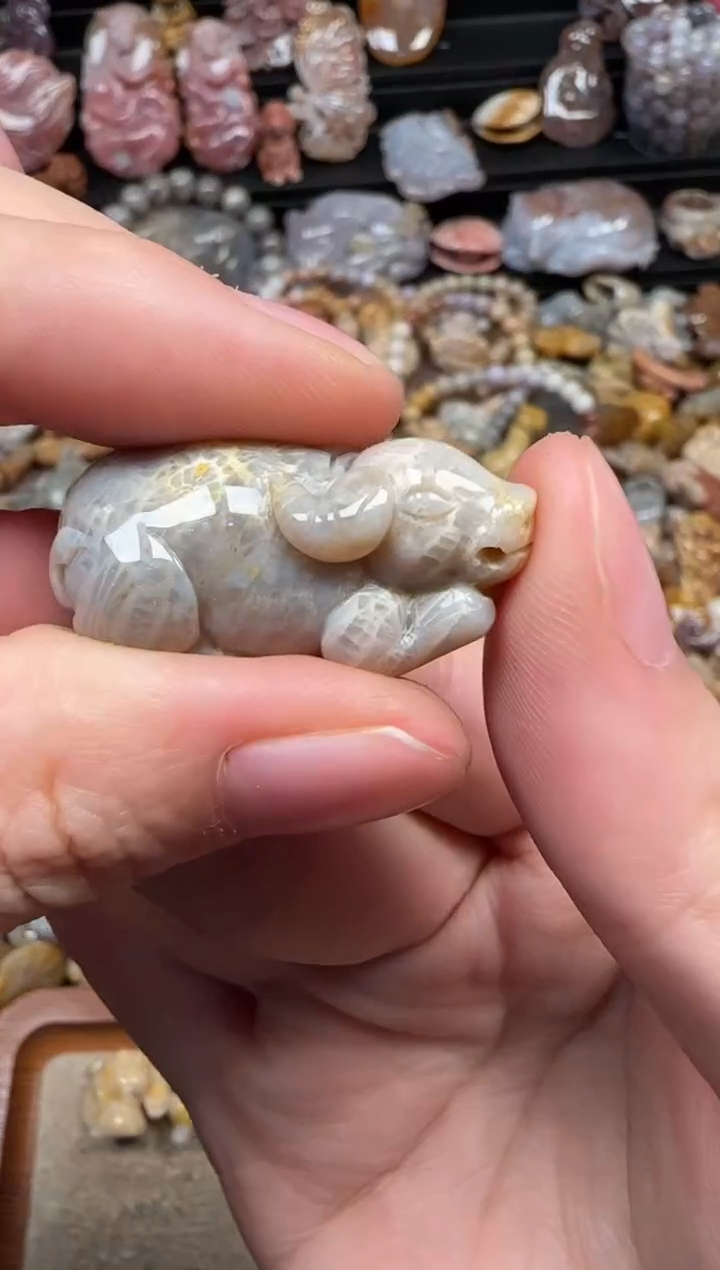 颈饰未镶嵌硅化珊瑚（珊瑚玉）243