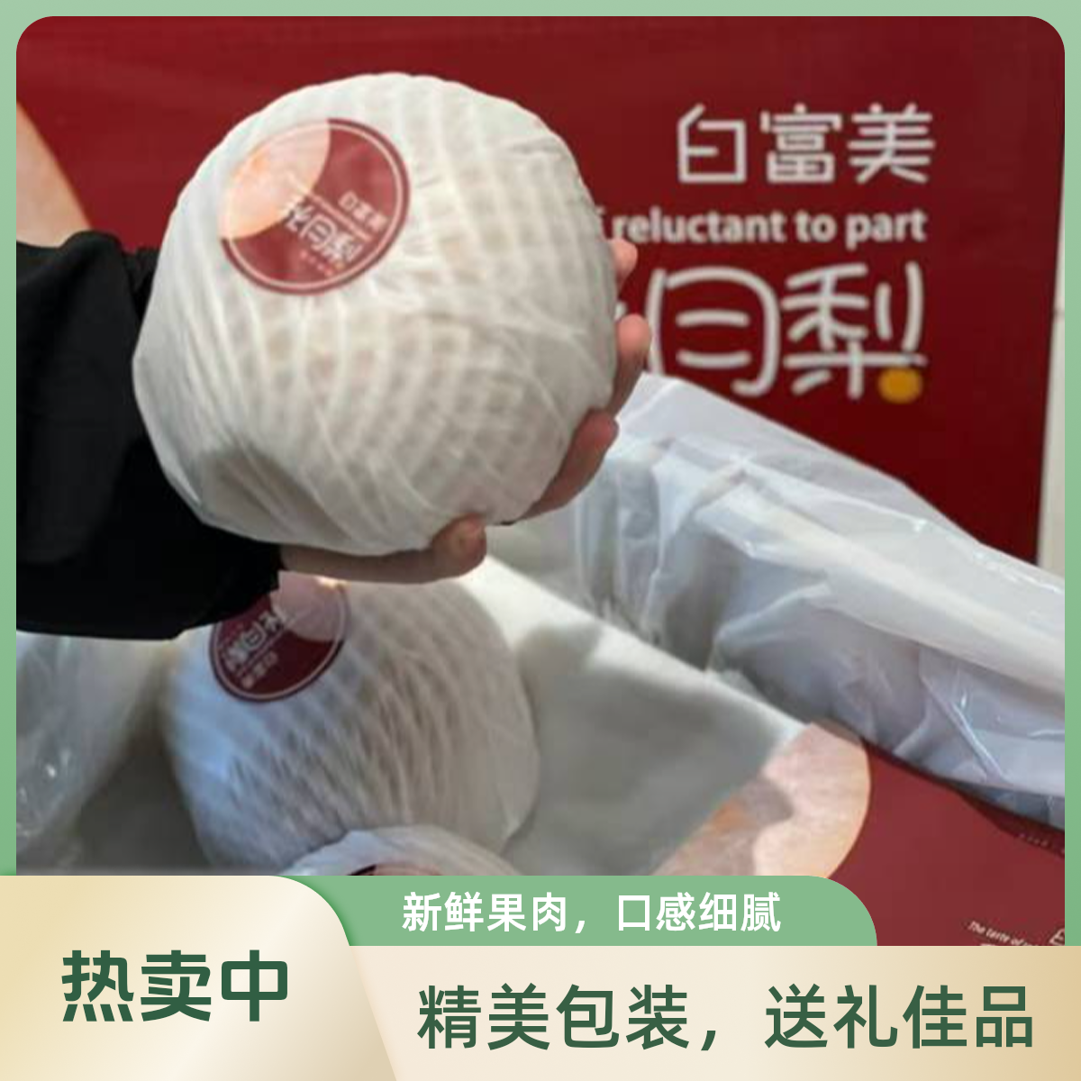 白富美秋月梨