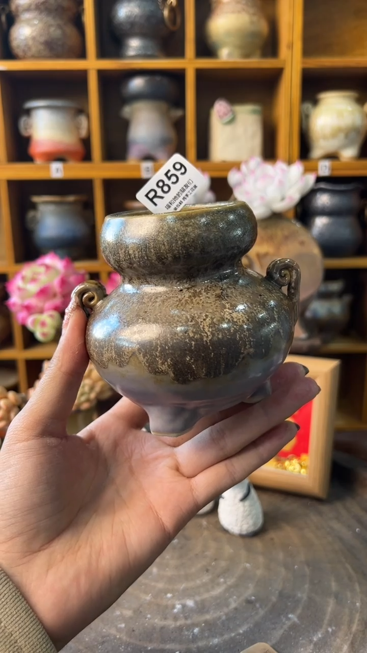 859内口5【多肉花盆多肉盆】