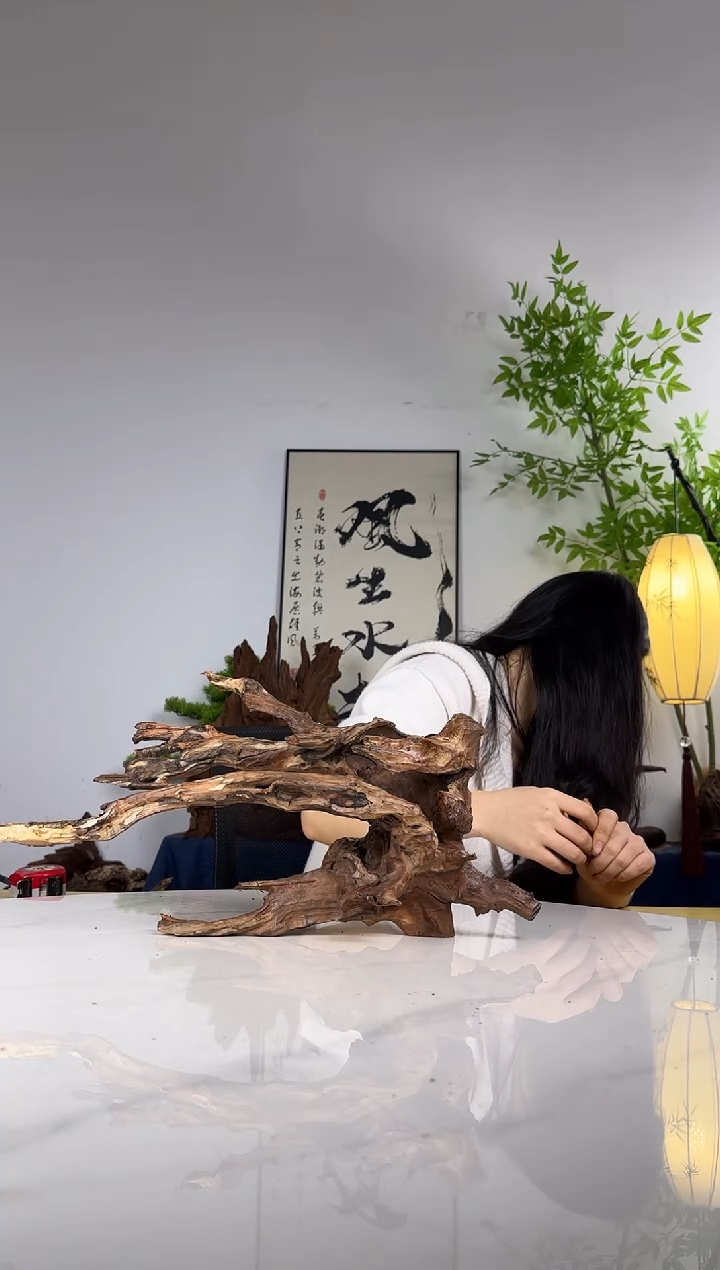 o****️拍沉木定向链接编号73