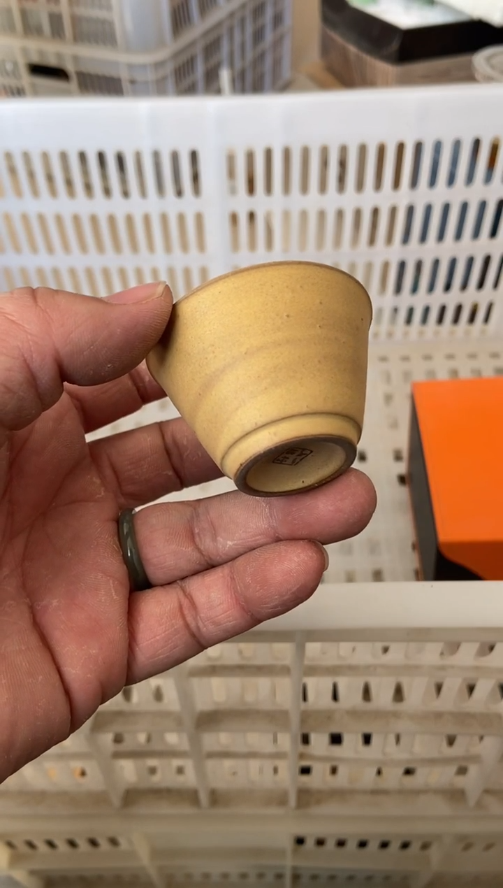 杯子瓷无运费险有瑕疵的摄影的产品有使用过的痕迹有点脏介意勿拍