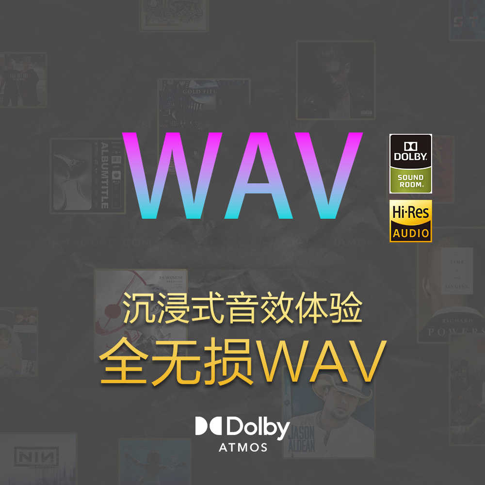 2025全新WAV车载音乐U盘HIFI音效抖音热歌流行DJ黑胶芯片经典怀旧