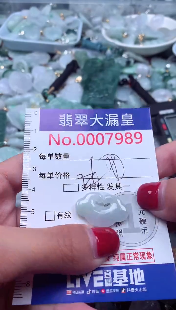 颈饰未镶嵌翡翠7989