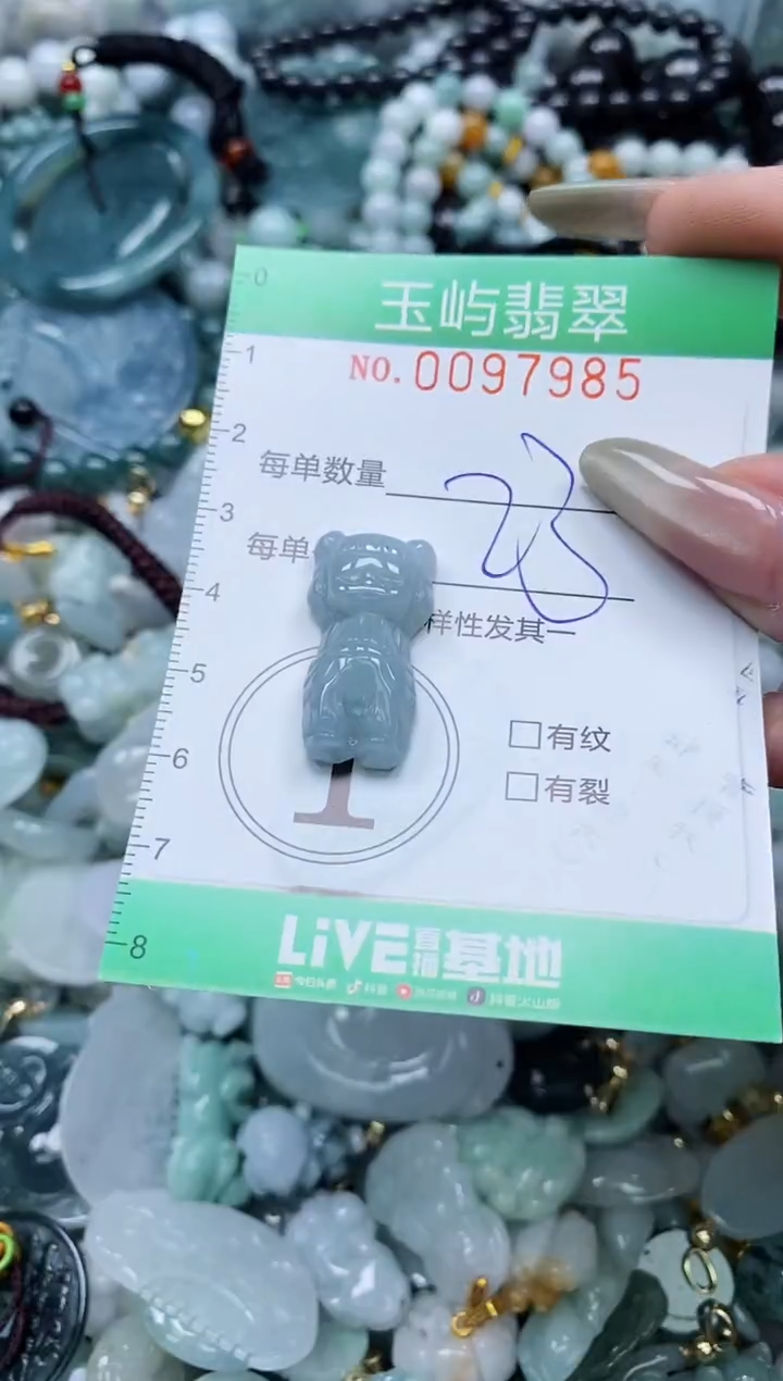 【闪购商品】翡翠未镶嵌颈饰闪购0097985