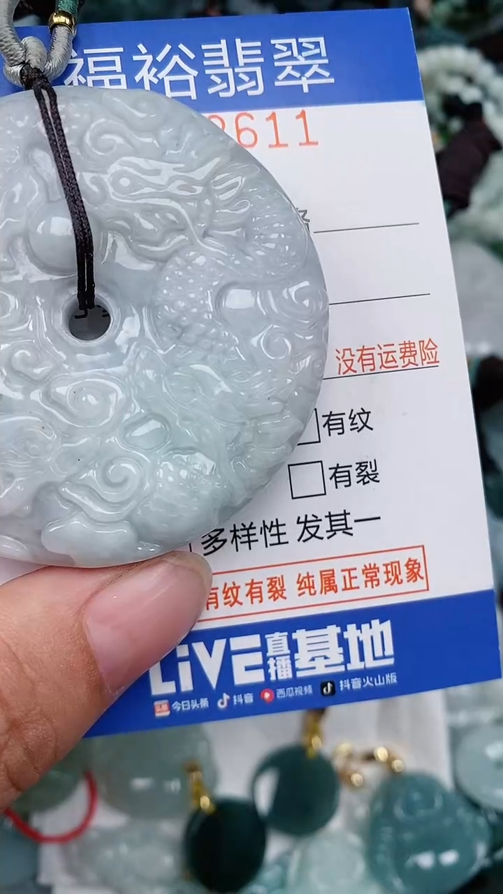 翡翠未镶嵌颈饰...0002611