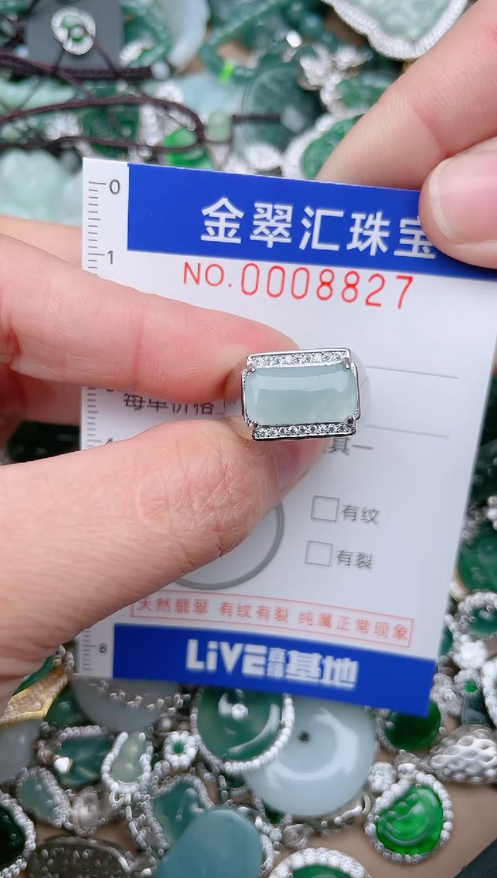 【闪购商品】翡翠颈饰未镶嵌8827....1