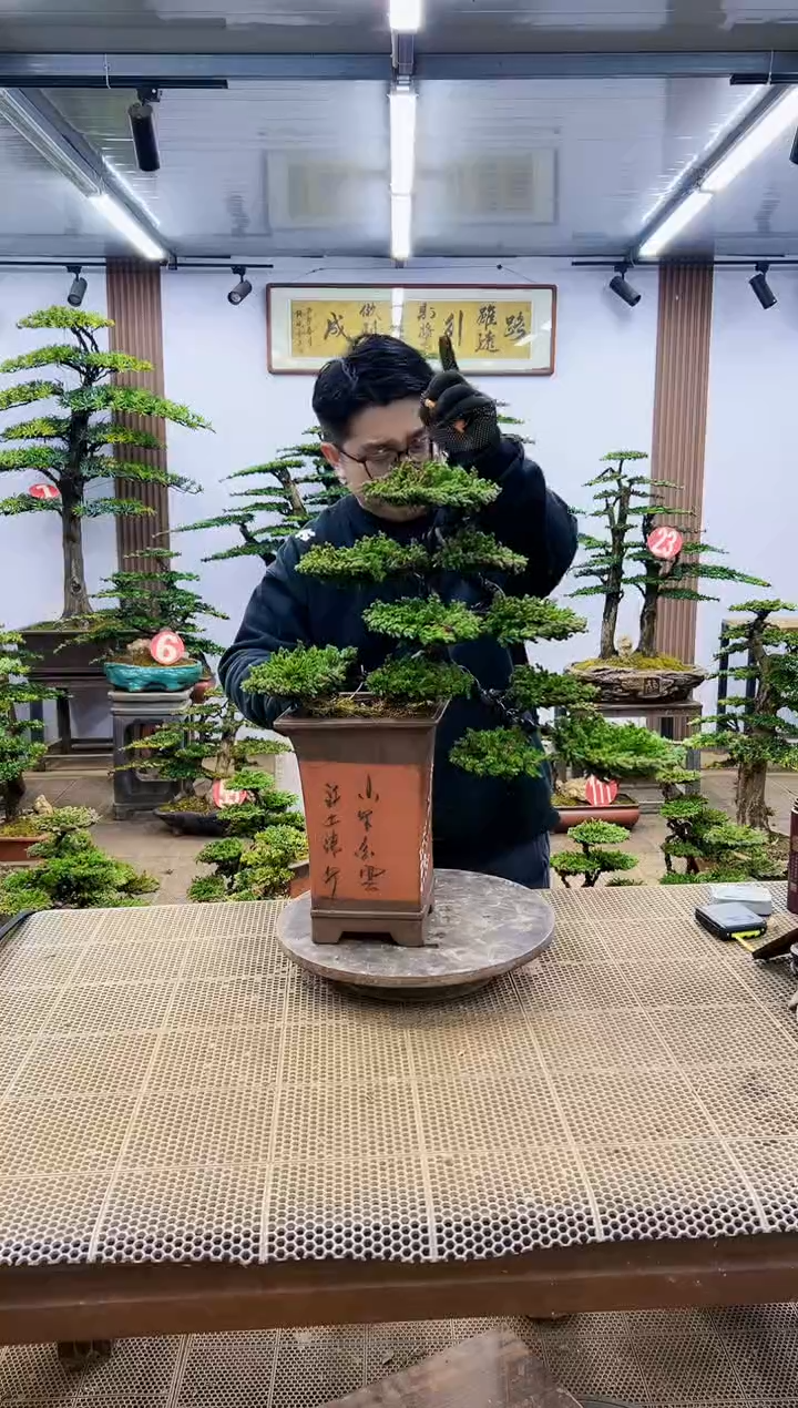 【闪购商品】一物一拍，所见即所得