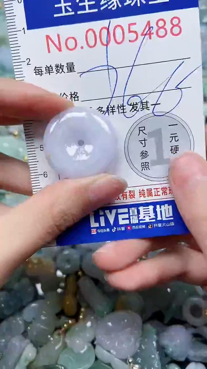 【闪购商品】翡翠颈饰未镶嵌闪购5488