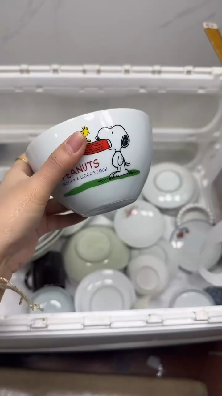 【闪购商品】465回流瓷器默认微瑕，18.8包邮