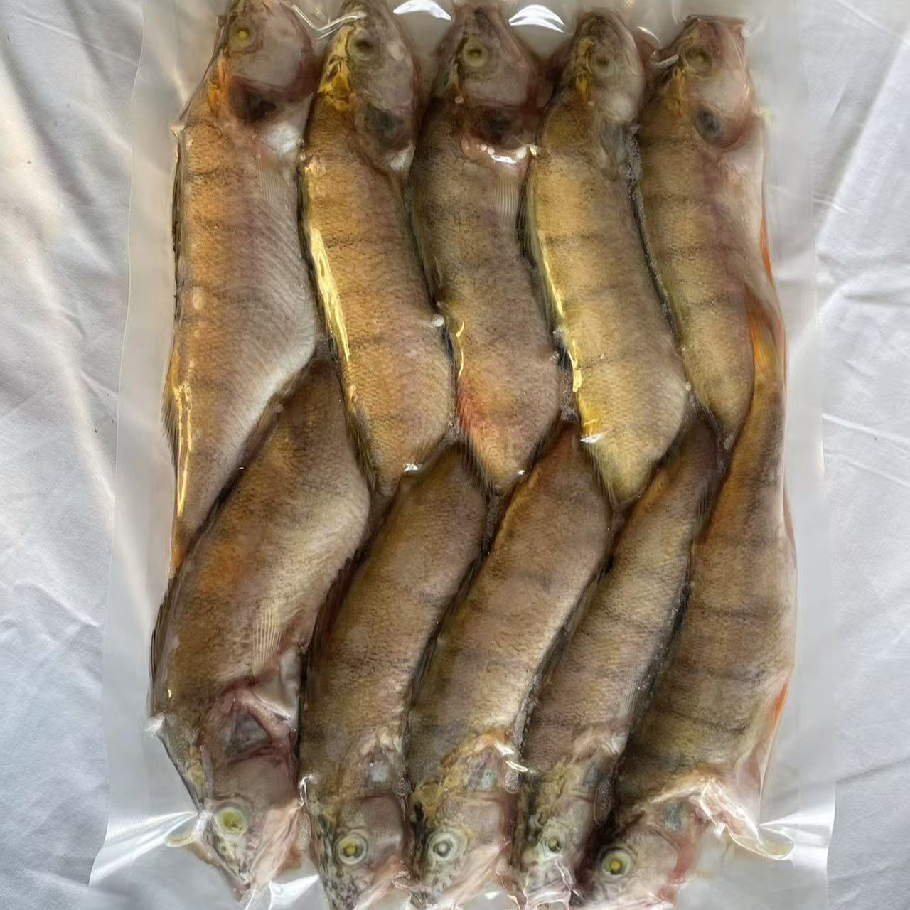 福海瑞雪新鲜中号五道黑