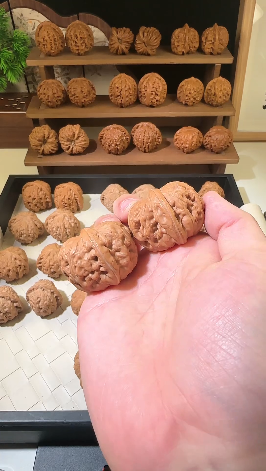 【闪购商品】文玩核桃把件40元宝全品