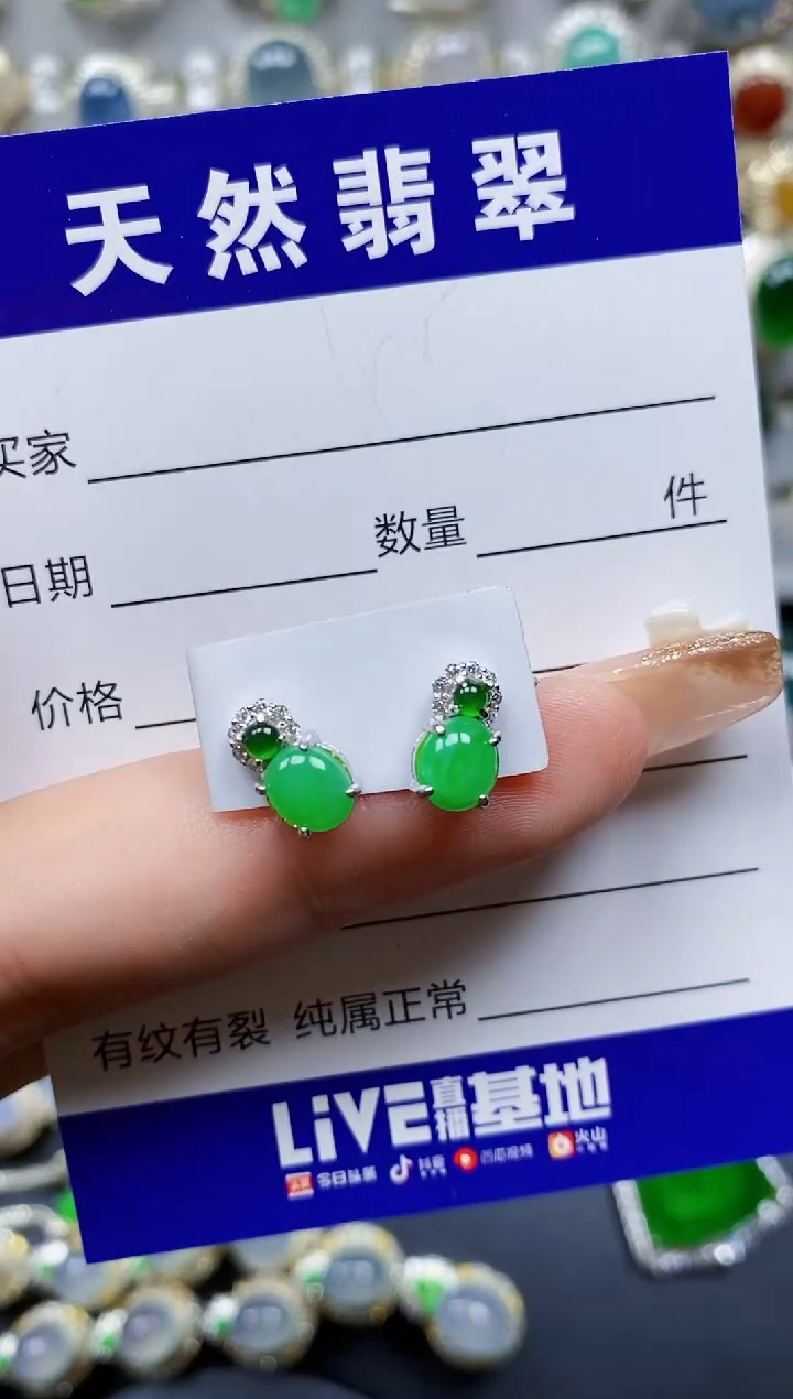 翡翠银S925镶嵌耳饰176