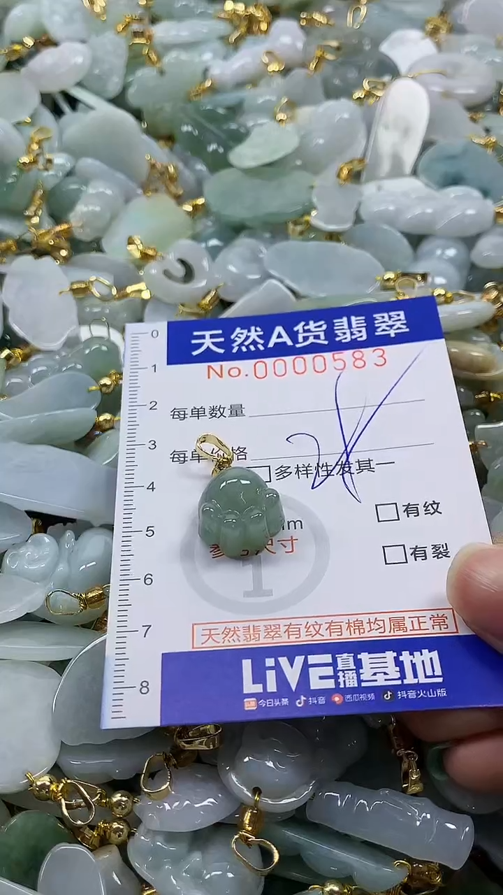 颈饰未镶嵌翡翠纯天然a货翡翠