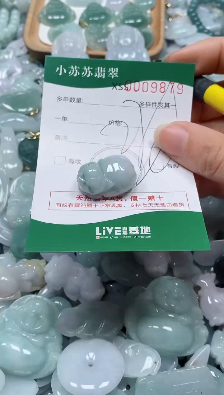 【闪购商品】翡翠颈饰未镶嵌闪购商品0009879
