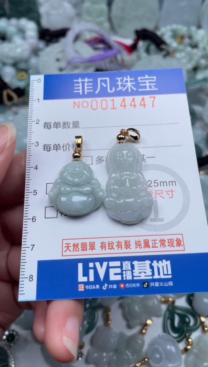 颈饰未镶嵌翡翠14447