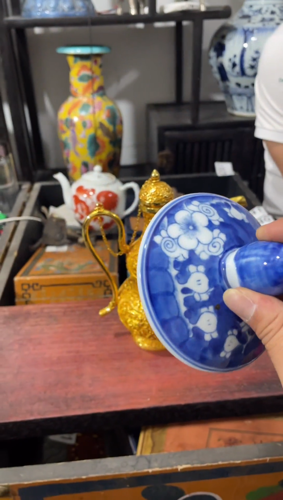 瓷片主播推荐精选好物