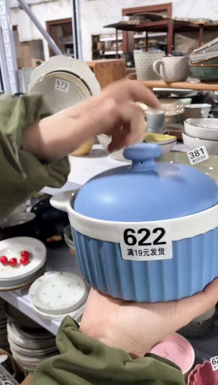 【闪购商品】碗微瑕（1个装）蓝色带盖双耳碗