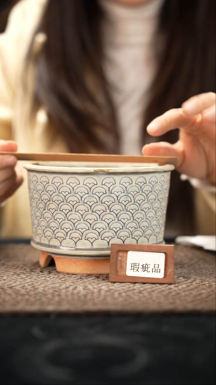 12-11-117花盆口径12特