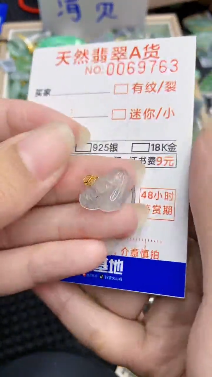 【闪购商品】翡翠颈饰18K金镶嵌            8