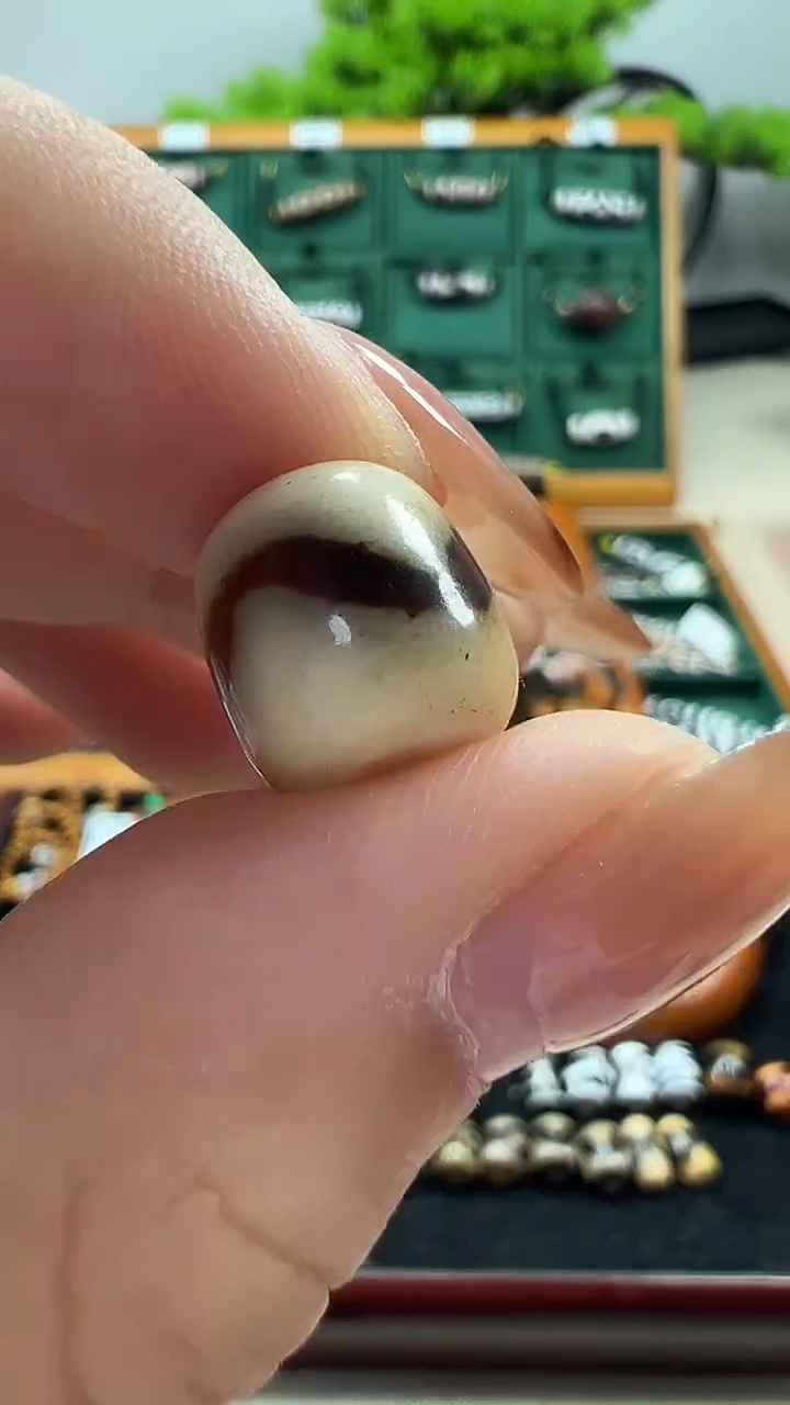 玛瑙/玉髓（覆膜）颈饰未镶嵌31.（微瑕随机发货）