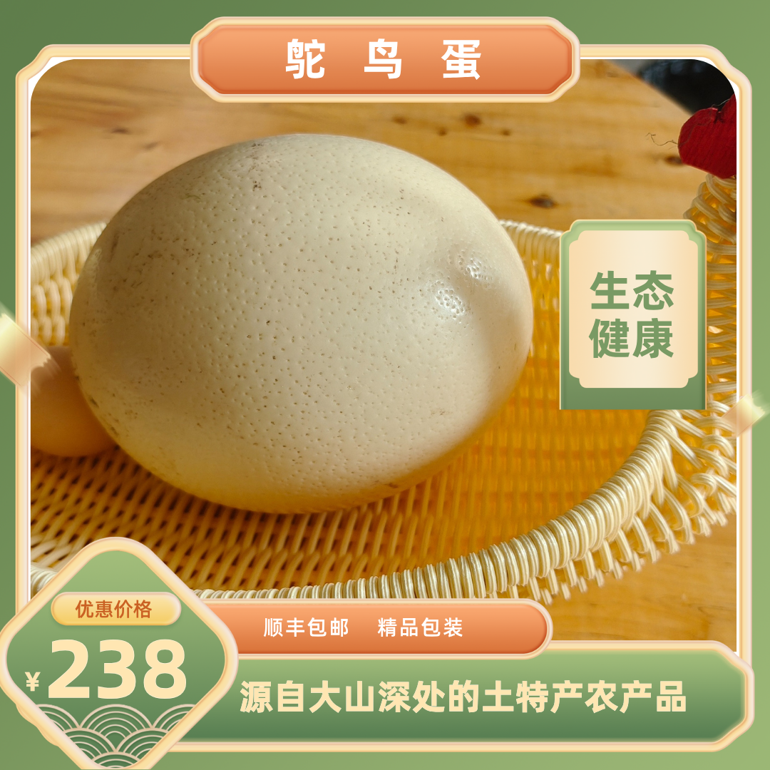 新鲜农家野草饲养鸵鸟蛋