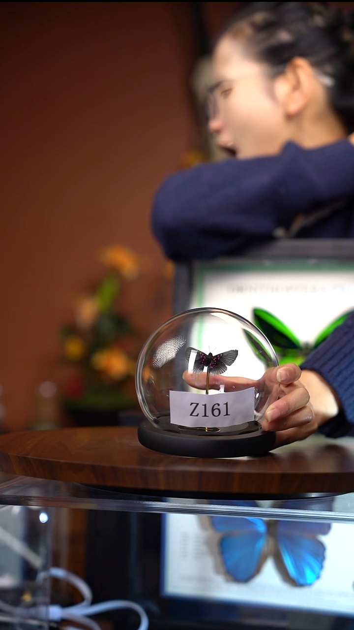 Z161阿波罗玻璃球竞拍