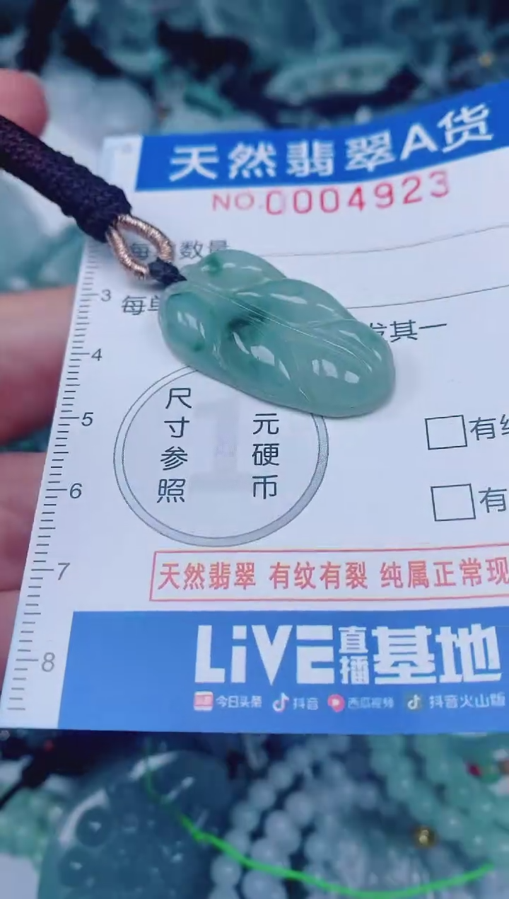 颈饰未镶嵌翡翠00004923