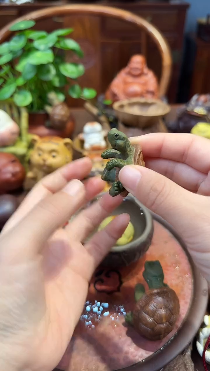 紫砂茶宠紫砂爬爬龟小号