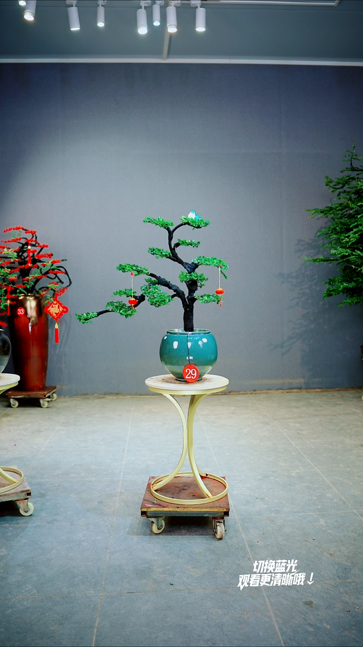 以实际为准当****门29号一物拍绿植