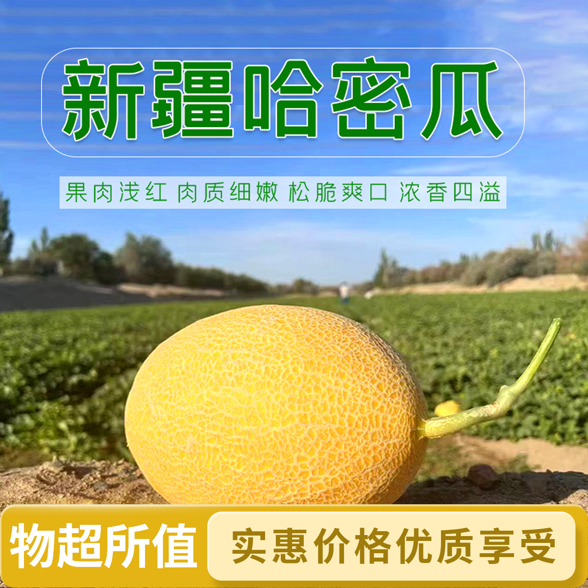 20斤新疆哈密瓜大南湖金海蜜头茬金冠哈密瓜皮薄脆甜多汁新鲜现摘