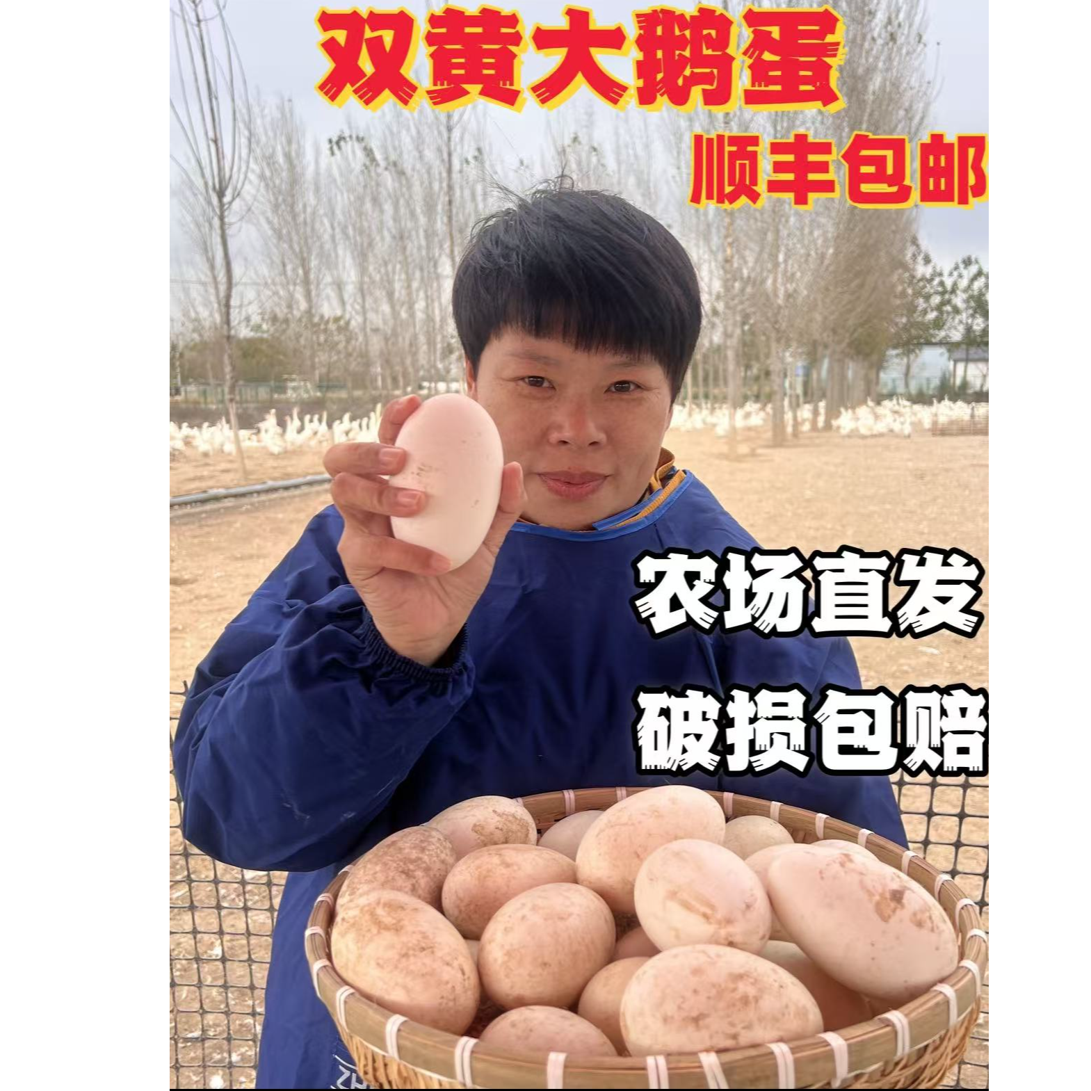 农家新鲜双黄土鹅蛋《现捡现发 后边农商》一箱12个单个新鲜大鹅蛋