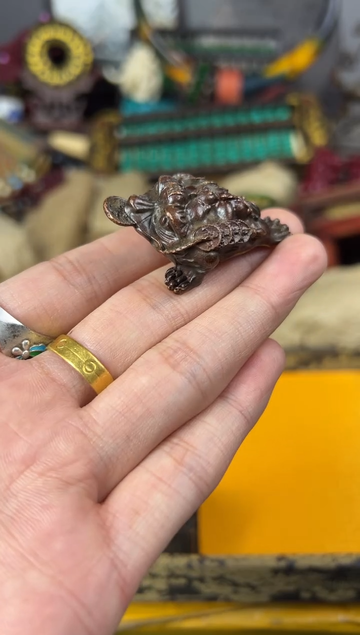 【闪购商品】主播推荐主播推荐