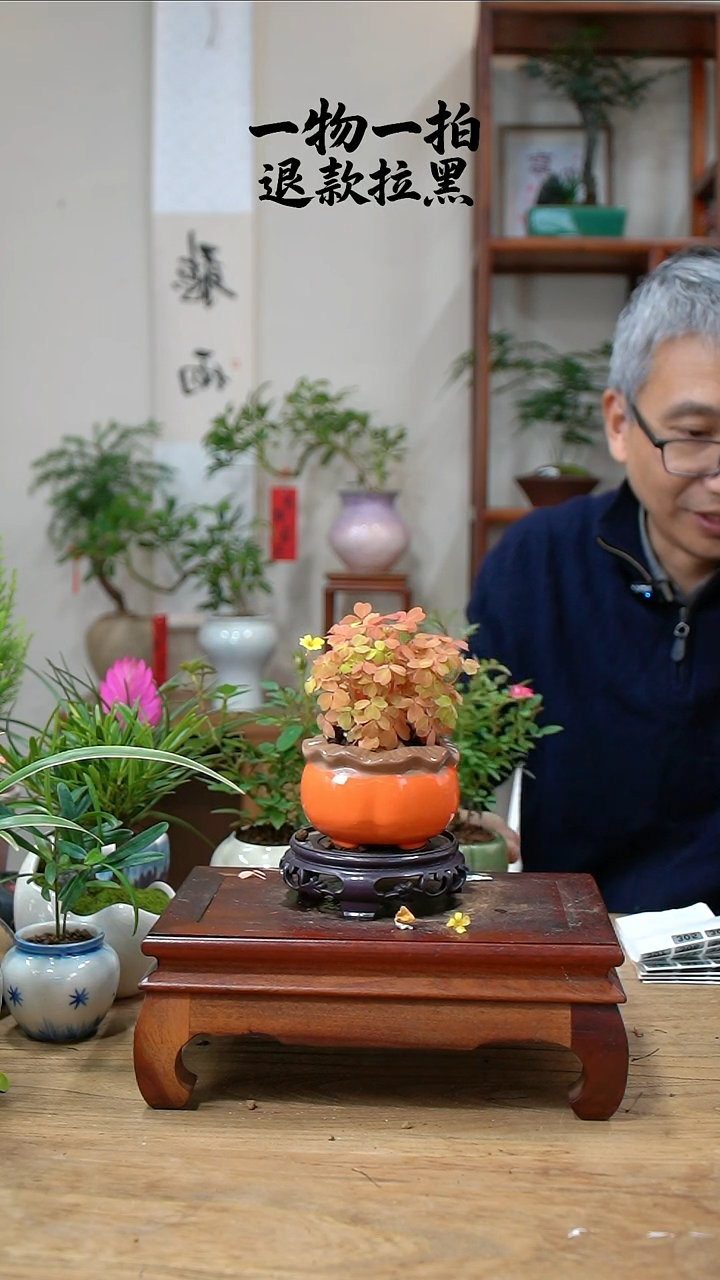 完全开放雨*熔岩305