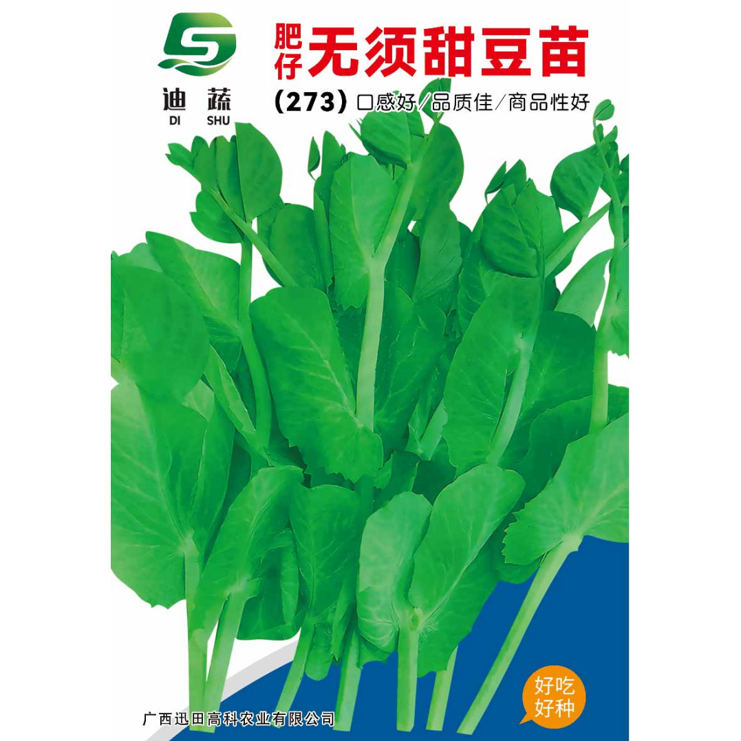豌豆苗种子273肥仔无须甜豆苗小包装甜豆苗蔬菜种子