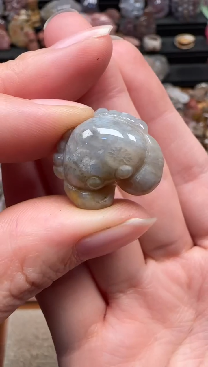 颈饰未镶嵌硅化珊瑚（珊瑚玉）563