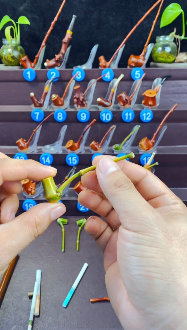 木豫檬子木的精品小斗