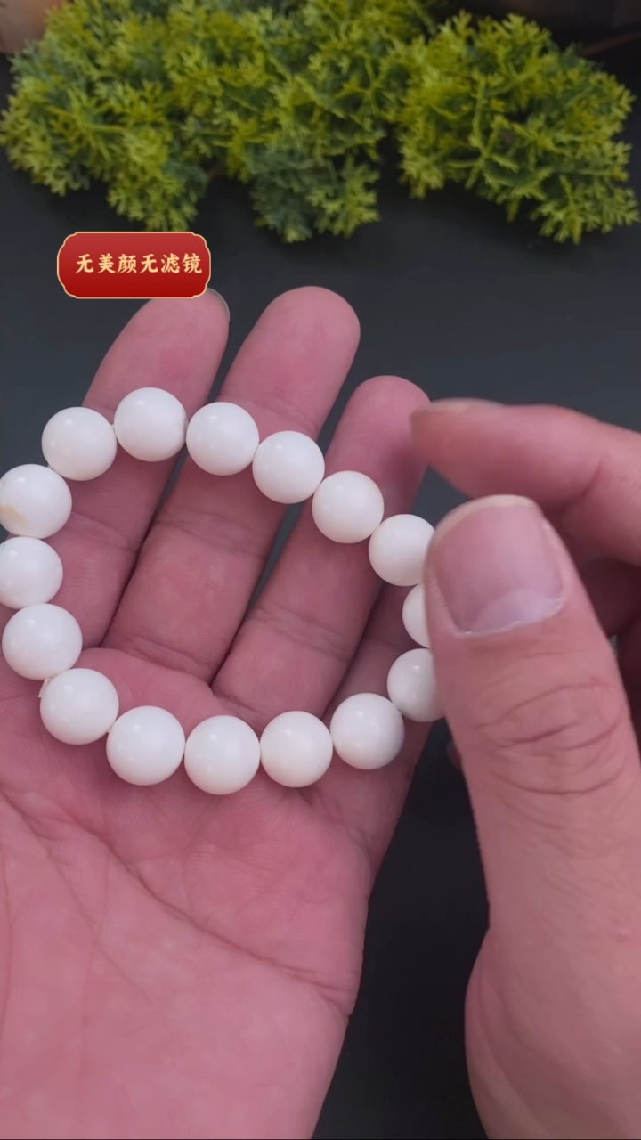 【闪购商品】贝壳（贝母）2未镶嵌亏米福利