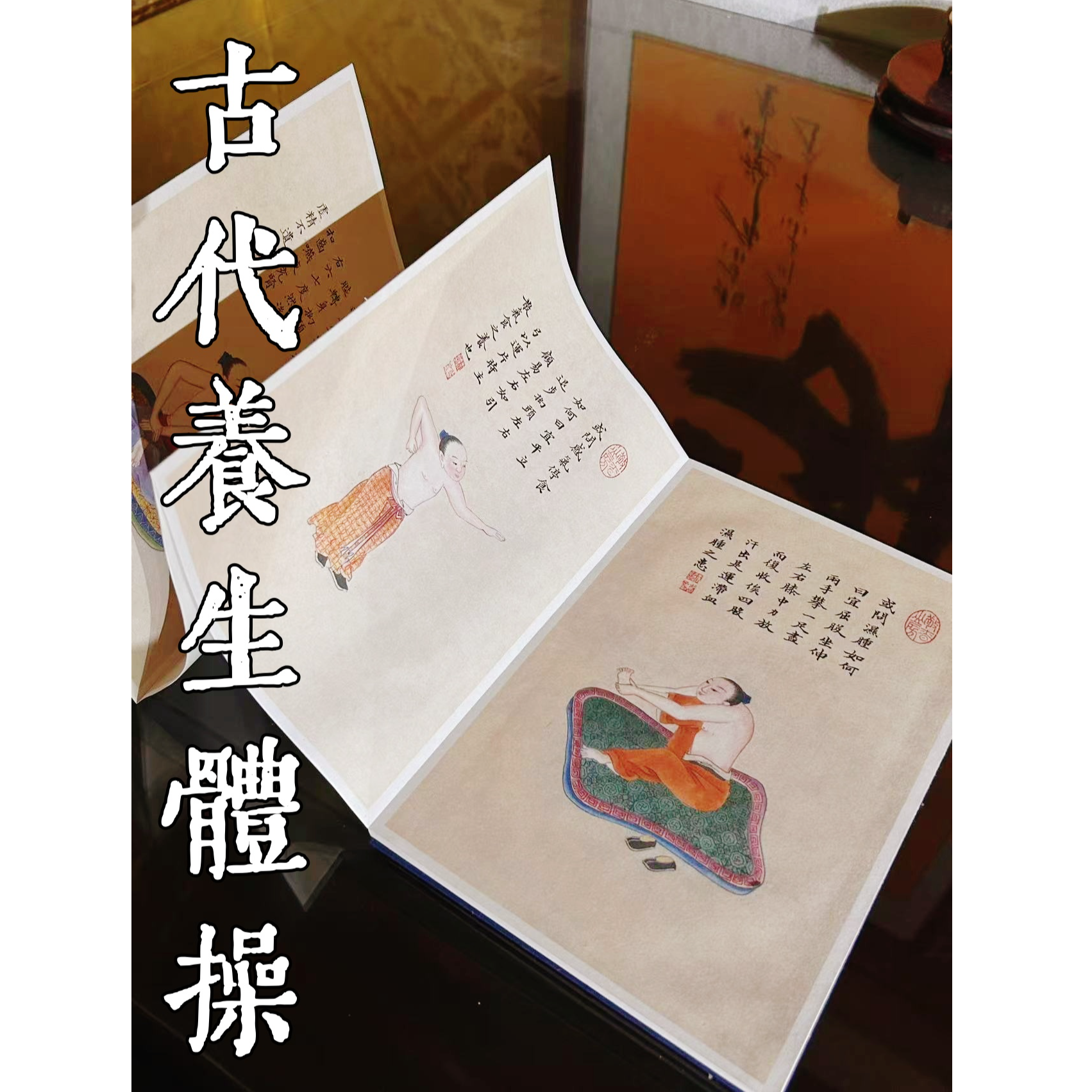 导引图 1函1册 宣纸经折装 中医古籍出版社 【直播专属】