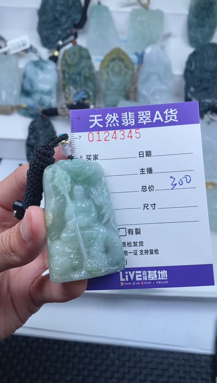 【闪购商品】翡翠颈饰未镶嵌         345