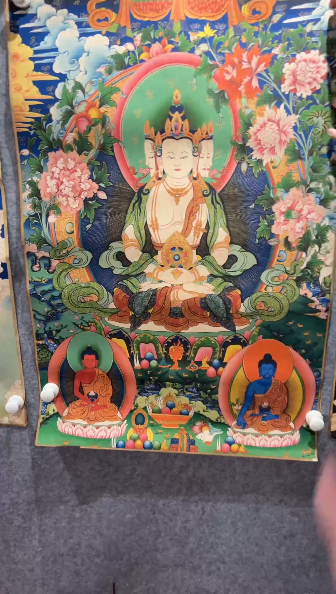 净界藏传净界藏传28