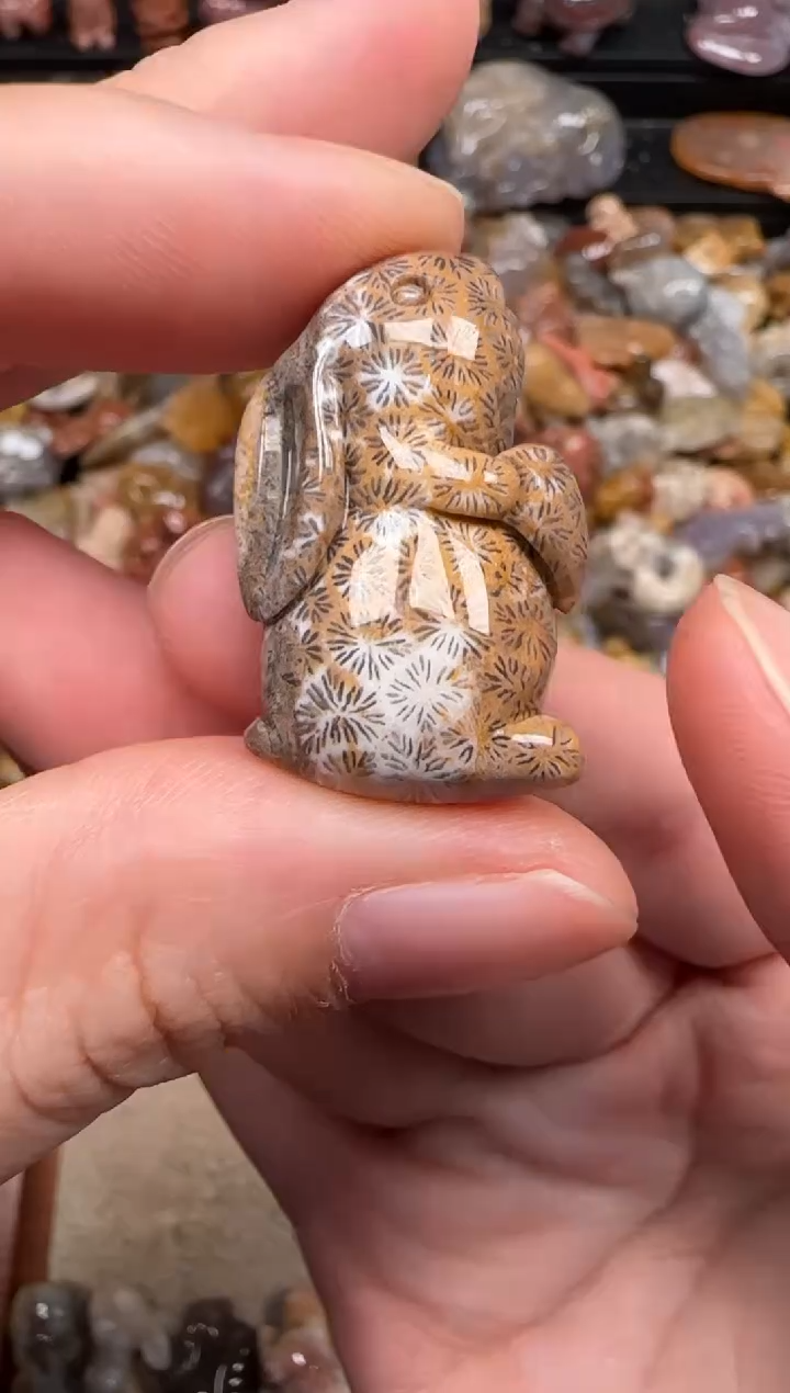 硅化珊瑚（珊瑚玉）未镶嵌颈饰162