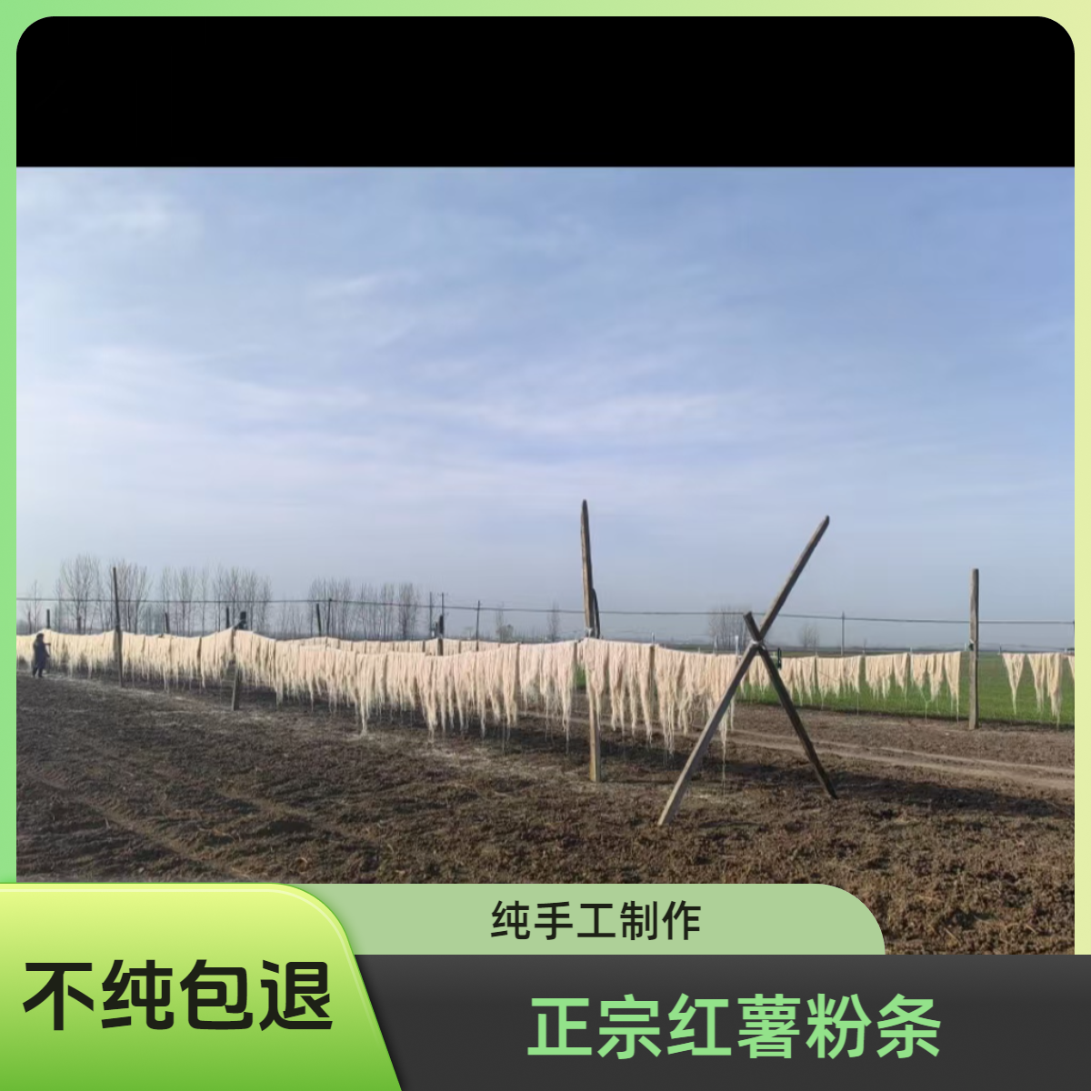豫项臻选农家纯红薯粉条正宗细分手工粉条炒菜凉拌涮火锅做酸辣粉