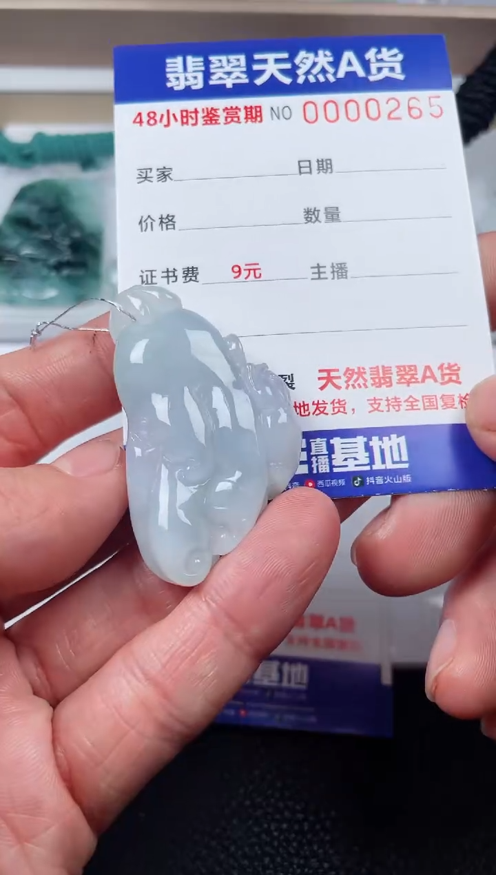 【闪购商品】翡翠颈饰未镶嵌多样性发货发一件fs