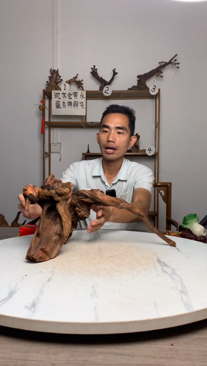 漳****司鱼缸造景沉木摆件